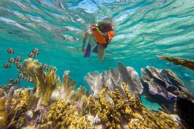 Puerto Morelos Reef Snorkeling Tour with Lunch & Hotel Pickup - Guide support and group comfort