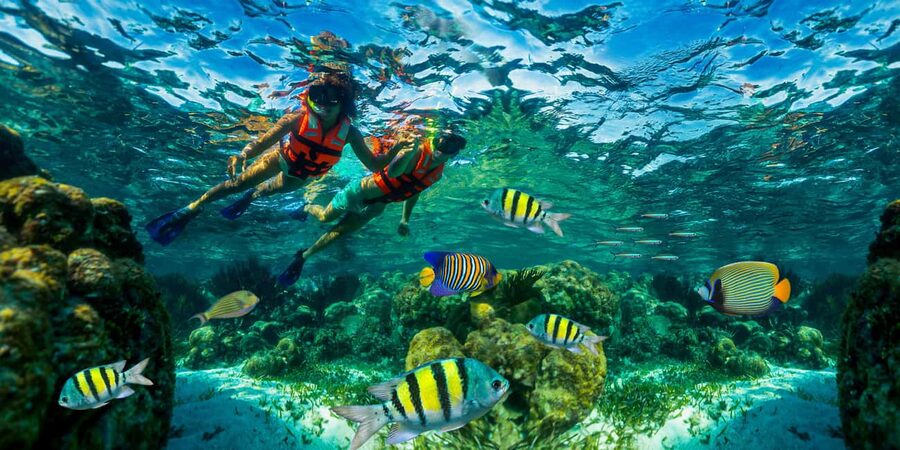 Puerto Morelos: Snorkel, Town Walk, Tequila & Beach Lunch - Key points at a glance