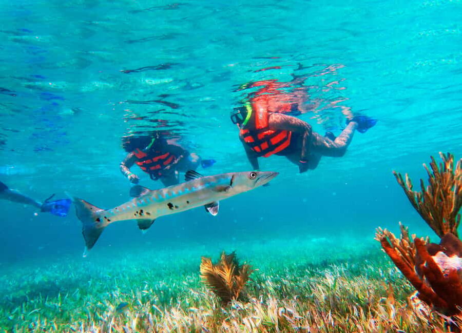 Puerto Morelos: Snorkel, Town Walk, Tequila & Beach Lunch - Puerto Morelos reef time, with a little uncertainty