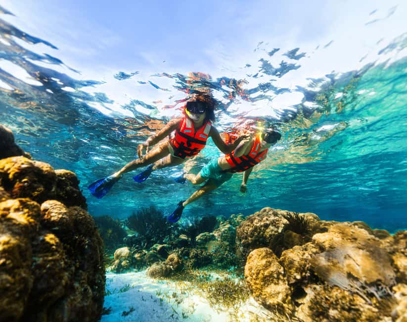 Puerto Morelos: Snorkel, Town Walk, Tequila & Beach Lunch - Tequila tasting after the swim