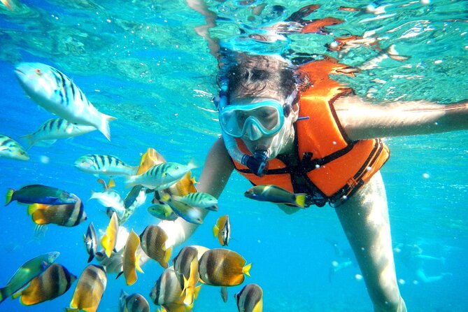 Puerto Morelos Snorkel, Town Walk, Tequila Tasting & Beach Lunch - Puerto Morelos after the water