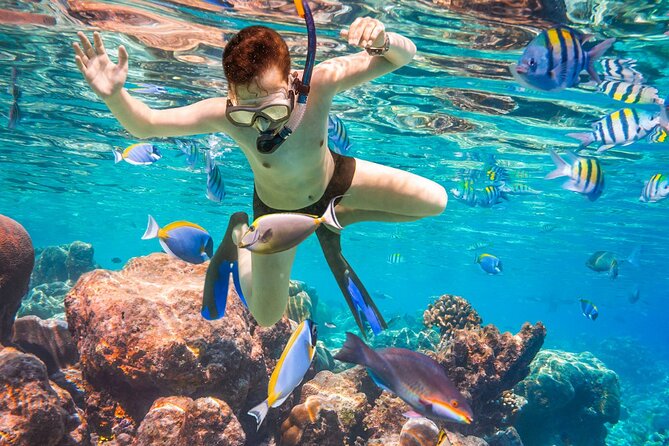 Puerto Morelos Snorkel, Town Walk, Tequila Tasting & Beach Lunch - Pickup details and timing matter