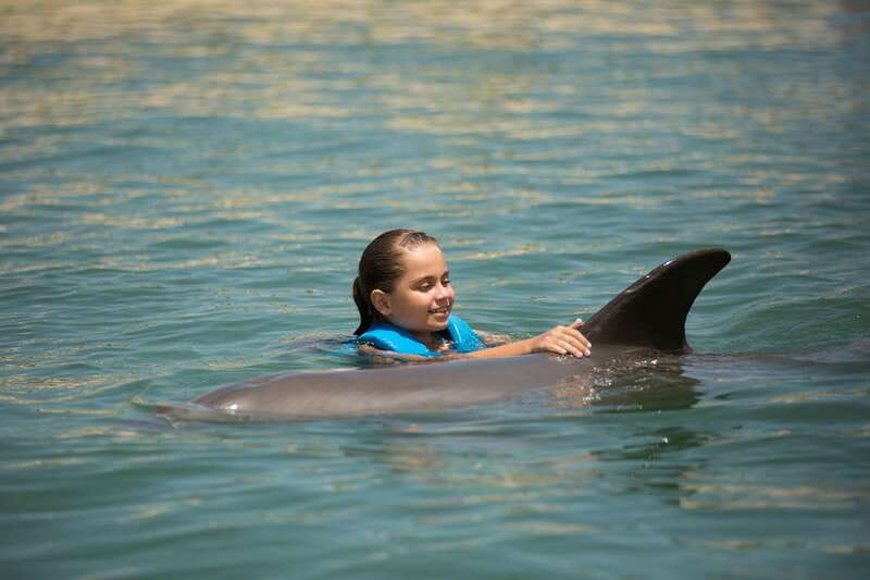 Punta Cancun: Swim with dolphins Interax - The First Minutes: Welcome, Anatomy, and Behavior