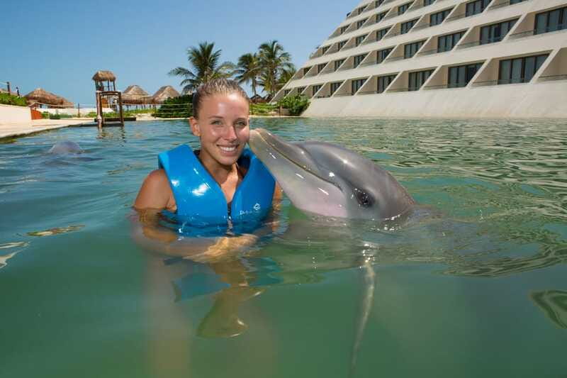 Punta Cancun: Swim with dolphins Interax - Practical Rules That Matter Before You Go