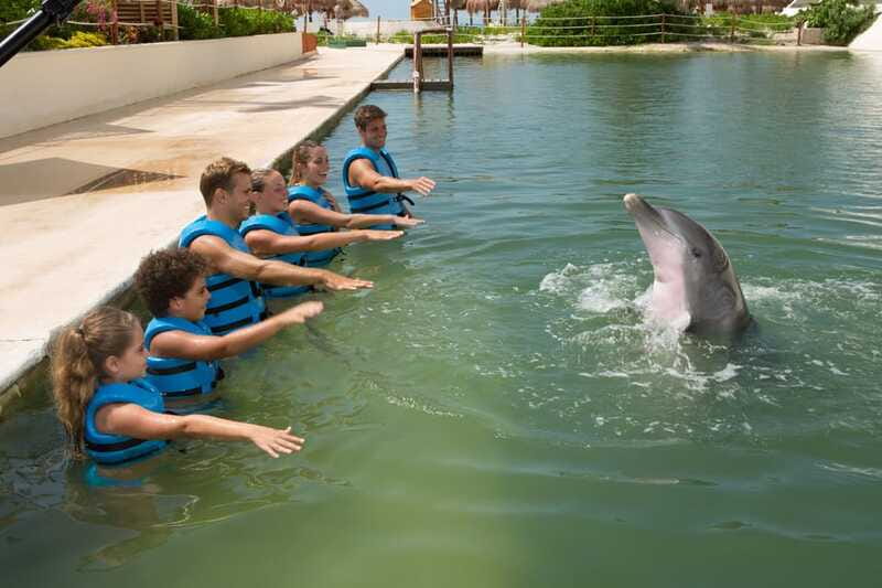 Punta Cancun: Swim with dolphins Interax - Who Will Enjoy This More