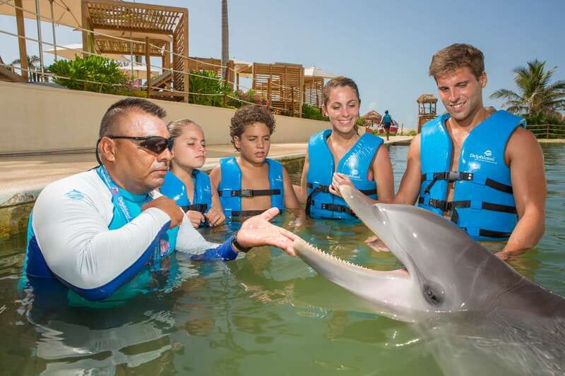 Punta Cancun: Swim with dolphins Interax - Punta Cancun Dolphin Swim: Final Decision