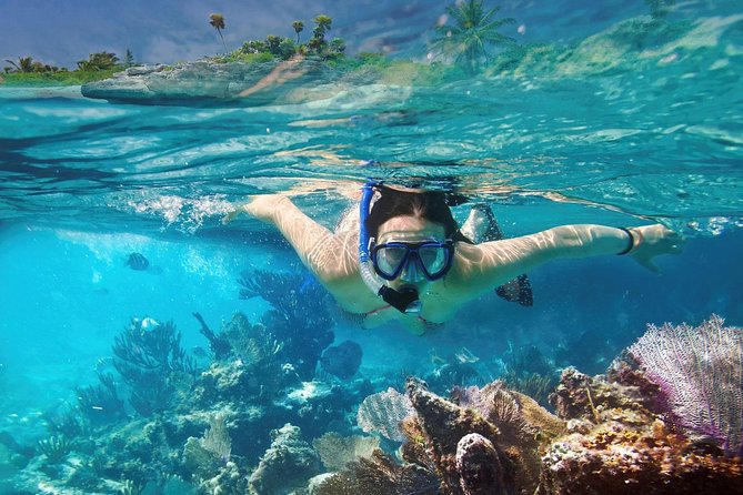 Reef Snorkel In National Park In Puerto Morelos With Lunch And Transportation - The tequila tasting and town stop