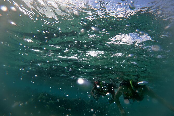 Reef Snorkel In National Park In Puerto Morelos With Lunch And Transportation - Transportation from Cancun can shape the whole day