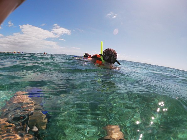 Reef Snorkel In National Park In Puerto Morelos With Lunch And Transportation - How much time do you really spend snorkeling?