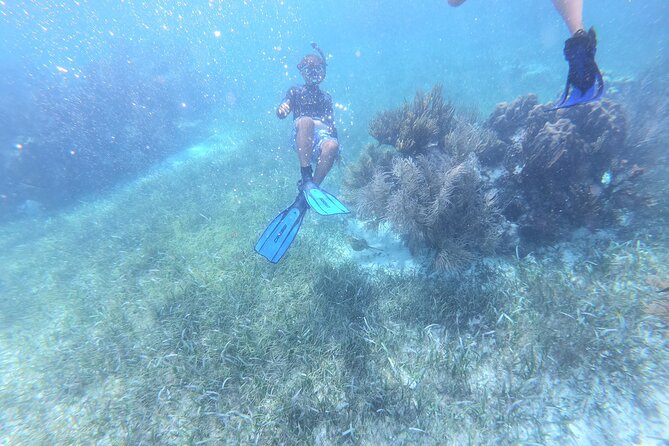 Reef Snorkel, underwater adventure in Puerto Morelos With Transportation & Lunch - The photo issue deserves attention