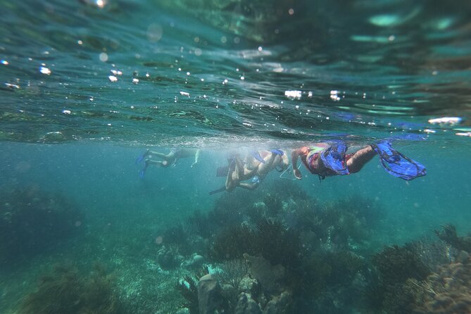 Reef Snorkel, underwater adventure in Puerto Morelos With Transportation & Lunch - What to bring and confirm