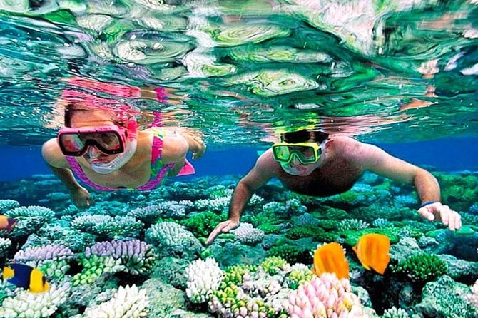 Reef Snorkel, underwater adventure in Puerto Morelos With Transportation & Lunch - What happens at the National Reef Park