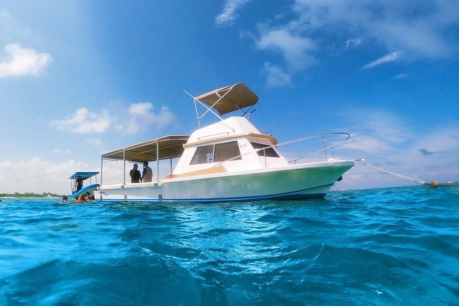 Reef Snorkeling in National Park from Cancun with Beachside Lunch - Puerto Morelos after the swim