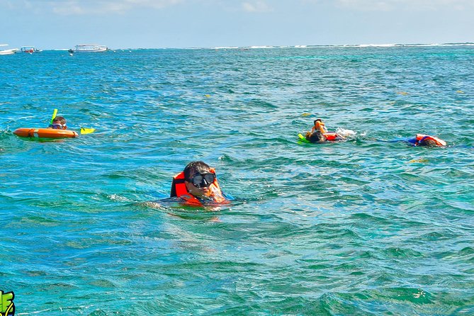 Reef Snorkeling in National Park from Cancun with Beachside Lunch - Who should book this outing