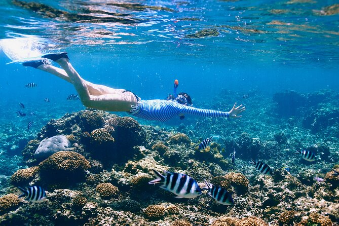 Reef Snorkeling with ATV, Zipline, Cenote that includes lunch and transportation - Why this Cancun day trip works