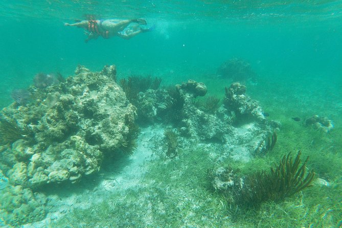 Reef Snorkeling with ATV, Zipline, Cenote that includes lunch and transportation - What the $109.65 price really includes