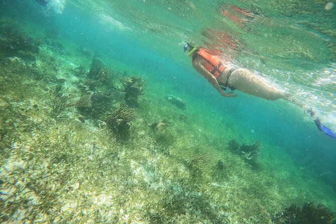 Reef Snorkeling with ATV, Zipline, Cenote that includes lunch and transportation - Who should book this outing