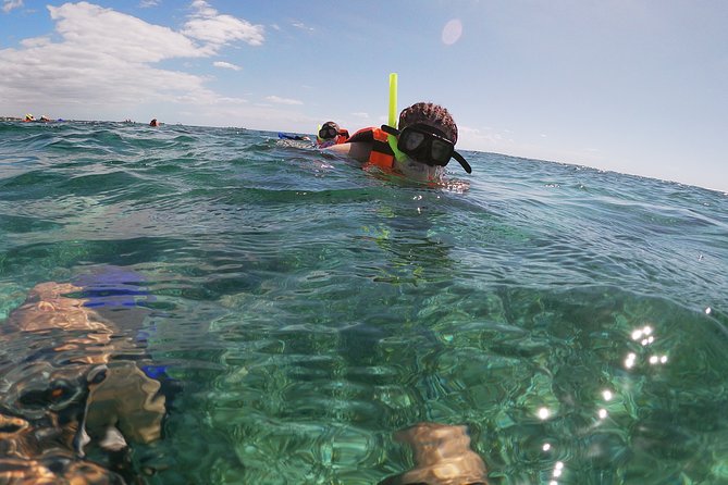Reef Snorkeling with ATV, Zipline, Cenote that includes lunch and transportation - Lunch, tacos, and a short Puerto Morelos stop