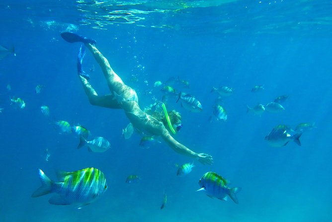 Riviera Maya Luxury Snorkeling Cruise with Lunch and Drinks - Transport, timing, and the Cancun problem