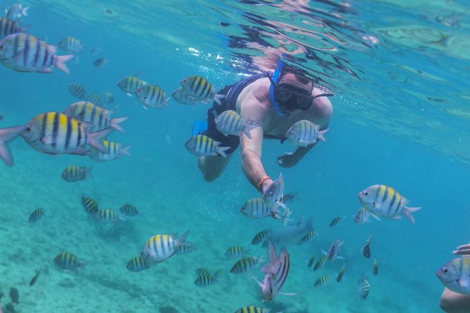 Riviera Maya Luxury Snorkeling Cruise with Lunch and Drinks - Who will enjoy this cruise most?