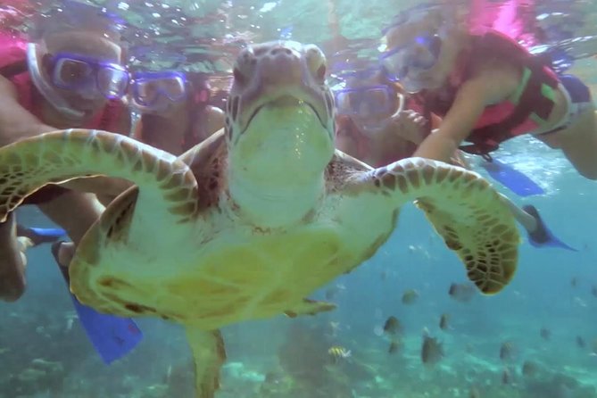 Riviera Maya Snorkeling - What this three-hour Cancun outing is really like