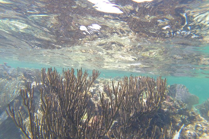 Riviera Maya Snorkeling - Group size, fitness, and comfort