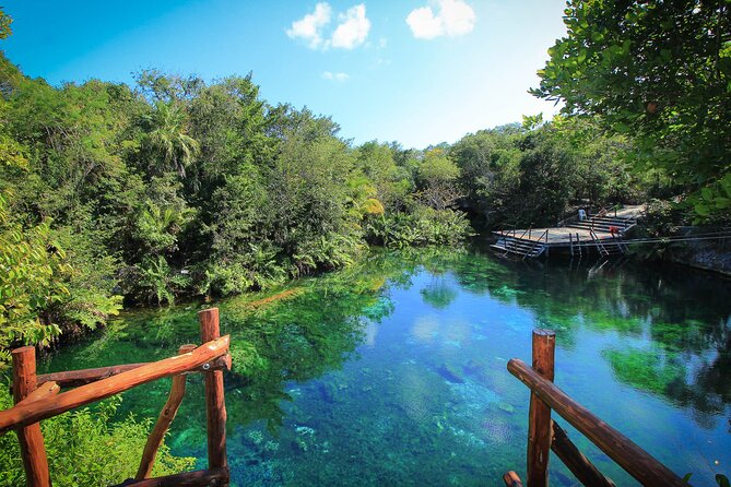 Riviera Maya Snorkeling Adventure: Lagoon, Cenotes Open & Cavern - The open cenote brings the action