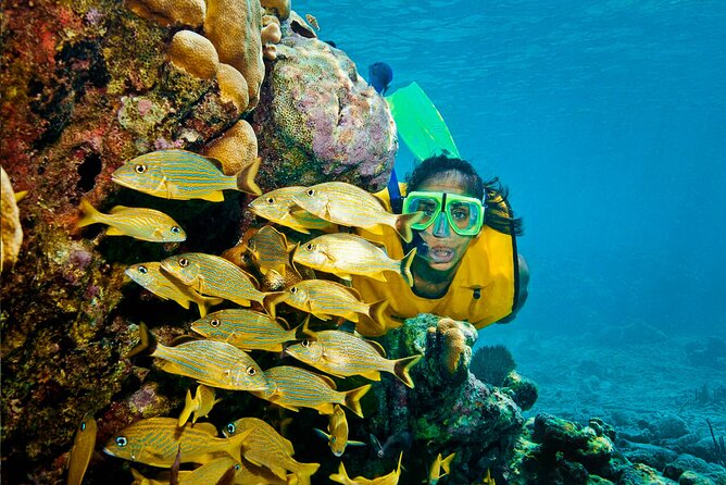 Riviera Maya Snorkeling Adventure: Lagoon, Cenotes Open & Cavern - What the $119 price really covers
