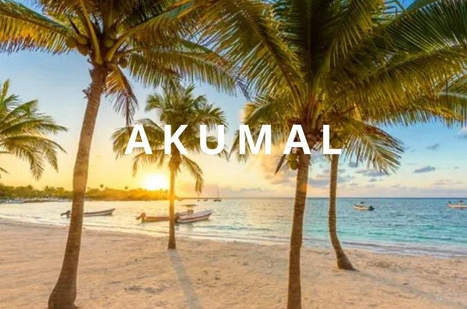 Round private transfer Airport- Akumal - Airport. - Who will get the most from this transfer