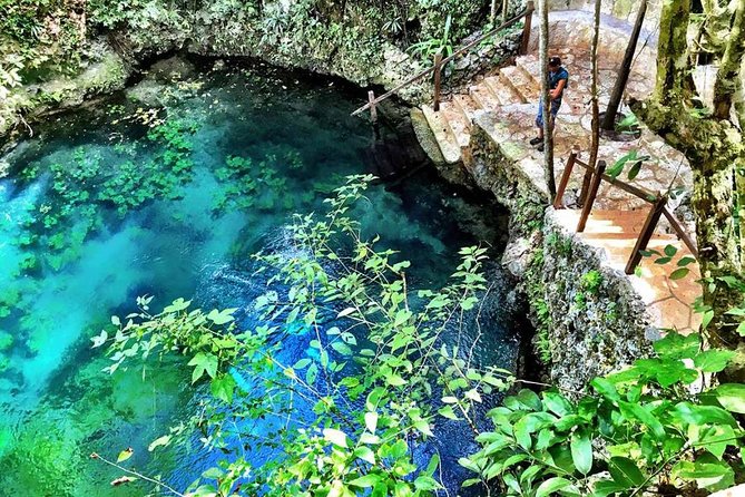 Route of the cenotes (ZAPOTE) - Cenote Zapote: platform jumps and a strong opening