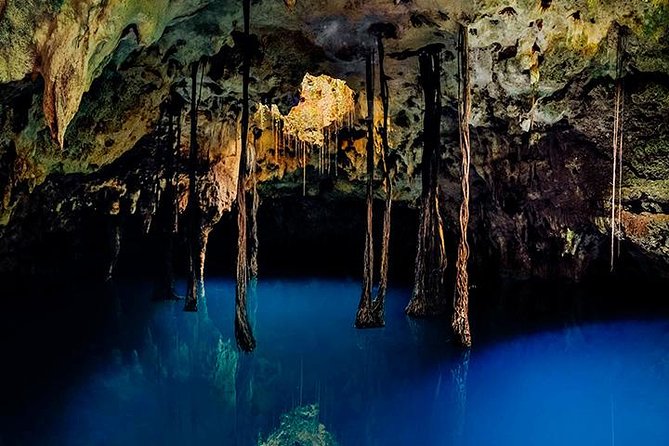 Sacred Adventure at Xenotes! 4 Different Cenotes + Round Transportation - Four cenotes, four different moods