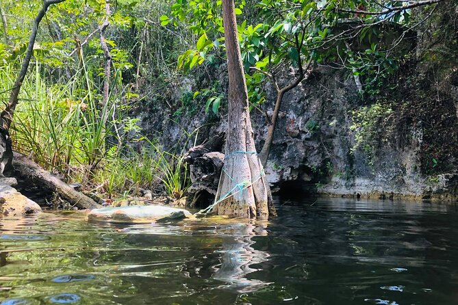 Sacred Adventure at Xenotes! 4 Different Cenotes + Round Transportation - Who will enjoy Xenotes most