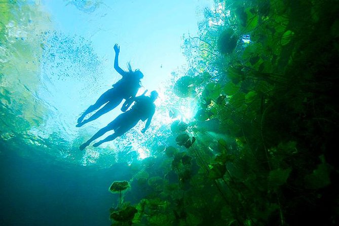 Sacred Adventure at Xenotes! 4 Different Cenotes + Round Transportation - What the 10-hour itinerary feels like