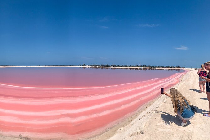 Safari in Rio Lagartos, Coloradas and Mayan Bath - Key points to know before you book