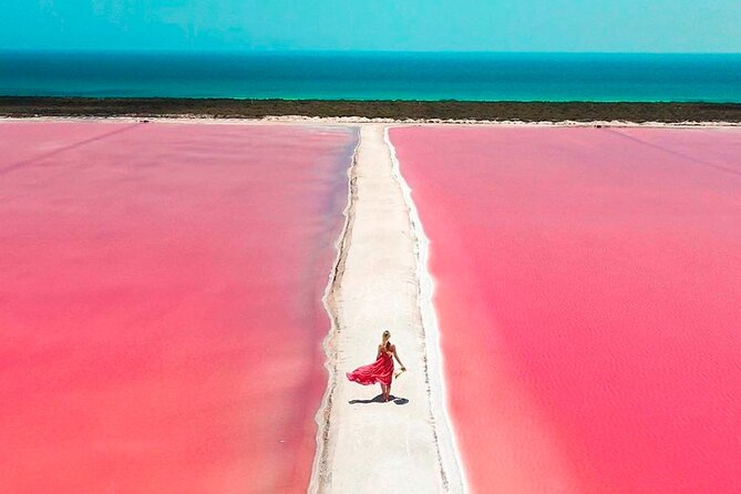 Safari in Rio Lagartos, Coloradas and Mayan Bath - Lunch, bicycles, and what is included