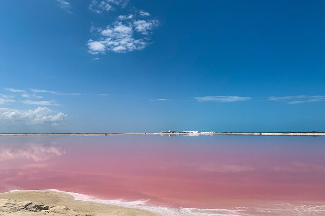 Safari in Rio Lagartos, Coloradas and Mayan Bath - Who will enjoy this Río Lagartos day most?