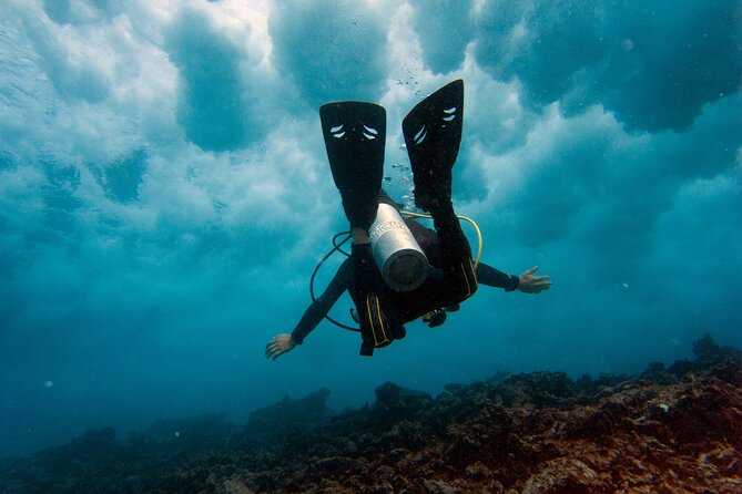 Scuba Diving (1st time) in Cancun Beginner's WELCOMED! - Why MUSA makes a strong first underwater experience
