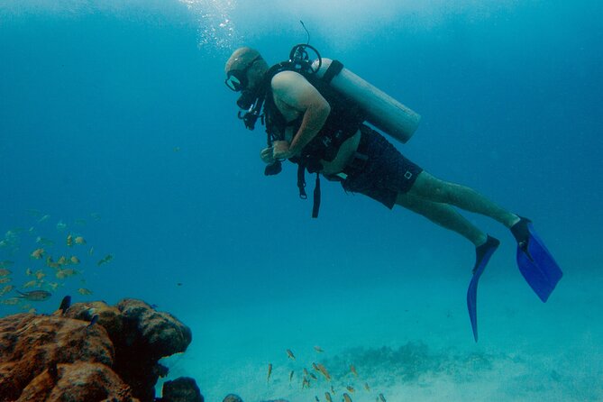 Scuba Diving (1st time) in Cancun Beginner's WELCOMED! - What the beginner training is really like