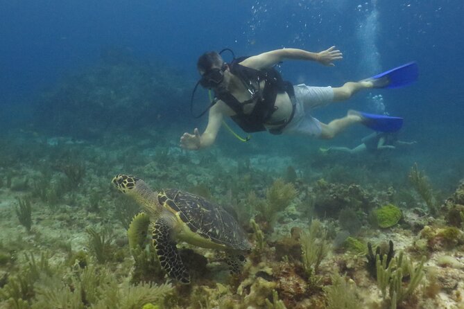 Scuba Diving (1st time) in Cancun Beginner's WELCOMED! - How the five-and-a-half-hour schedule works