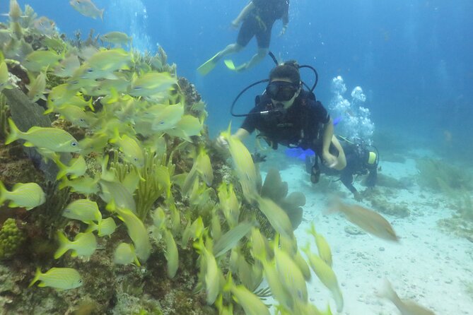 Scuba Diving (1st time) in Cancun Beginner's WELCOMED! - The instructors are the heart of the experience
