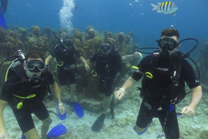Scuba Diving (1st time) in Cancun Beginner's WELCOMED! - Practical advice for a smoother morning