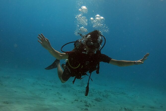 Scuba Diving (1st time) in Cancun Beginner's WELCOMED! - The second stop: Cancun’s MesoAmerican Reef