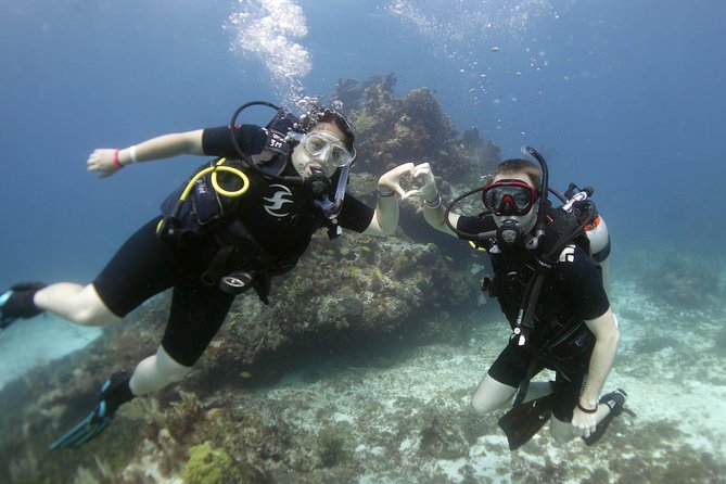 Scuba diving at MUSA the underwater museum for certified divers - Is the $135 price good value?