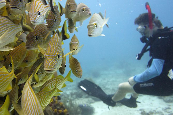 Scuba diving at MUSA the underwater museum for certified divers - Who will enjoy this most