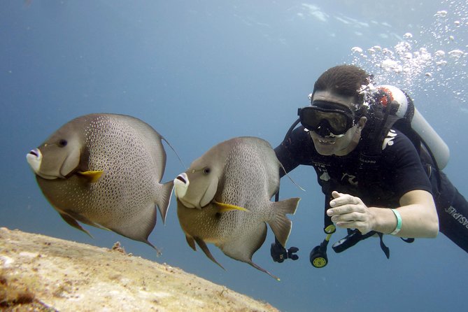 Scuba diving at MUSA the underwater museum for certified divers - Booking details and weather concerns