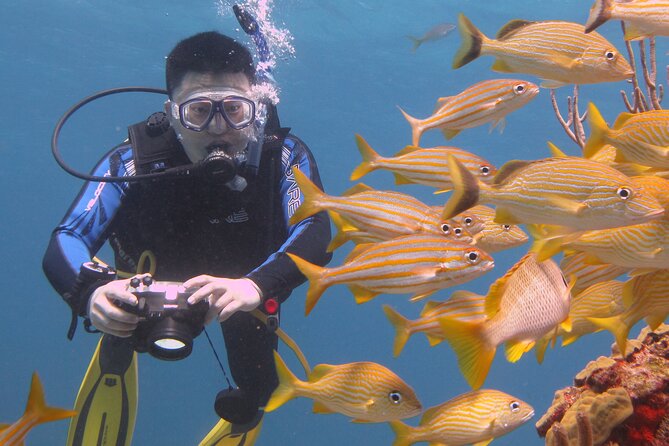 Scuba Diving Under Water Museum and Reef for beginners - What the $119 price really covers