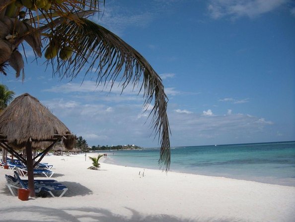 Sea Turtle Snorkeling Ecofriendly Tour from Cancun & Riviera Maya - Akumal’s turtles, cenotes, and the real appeal