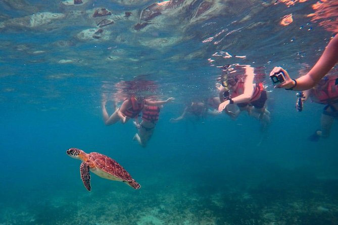 Sea Turtle Snorkeling Ecofriendly Tour from Cancun & Riviera Maya - Is $149 a fair price?