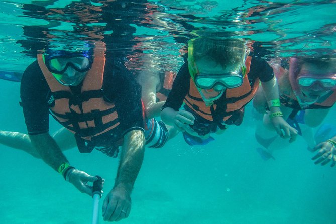 Sea Turtle Snorkeling Ecofriendly Tour from Cancun & Riviera Maya - Who will enjoy this outing most