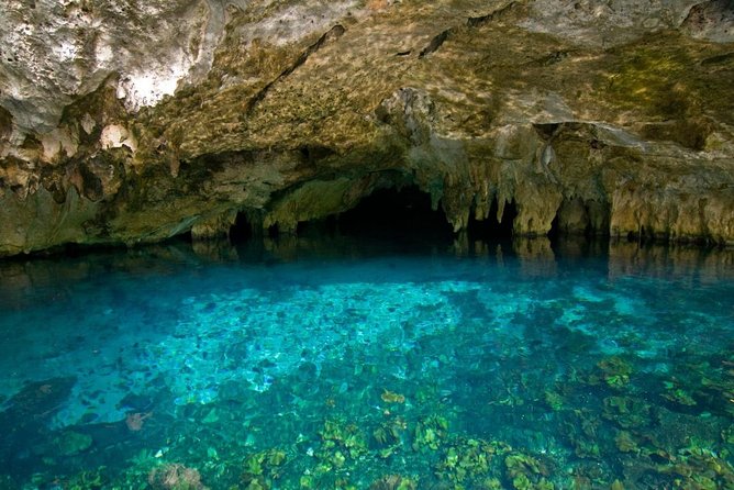Secret River - Río Secreto: a river beneath the Yucatán